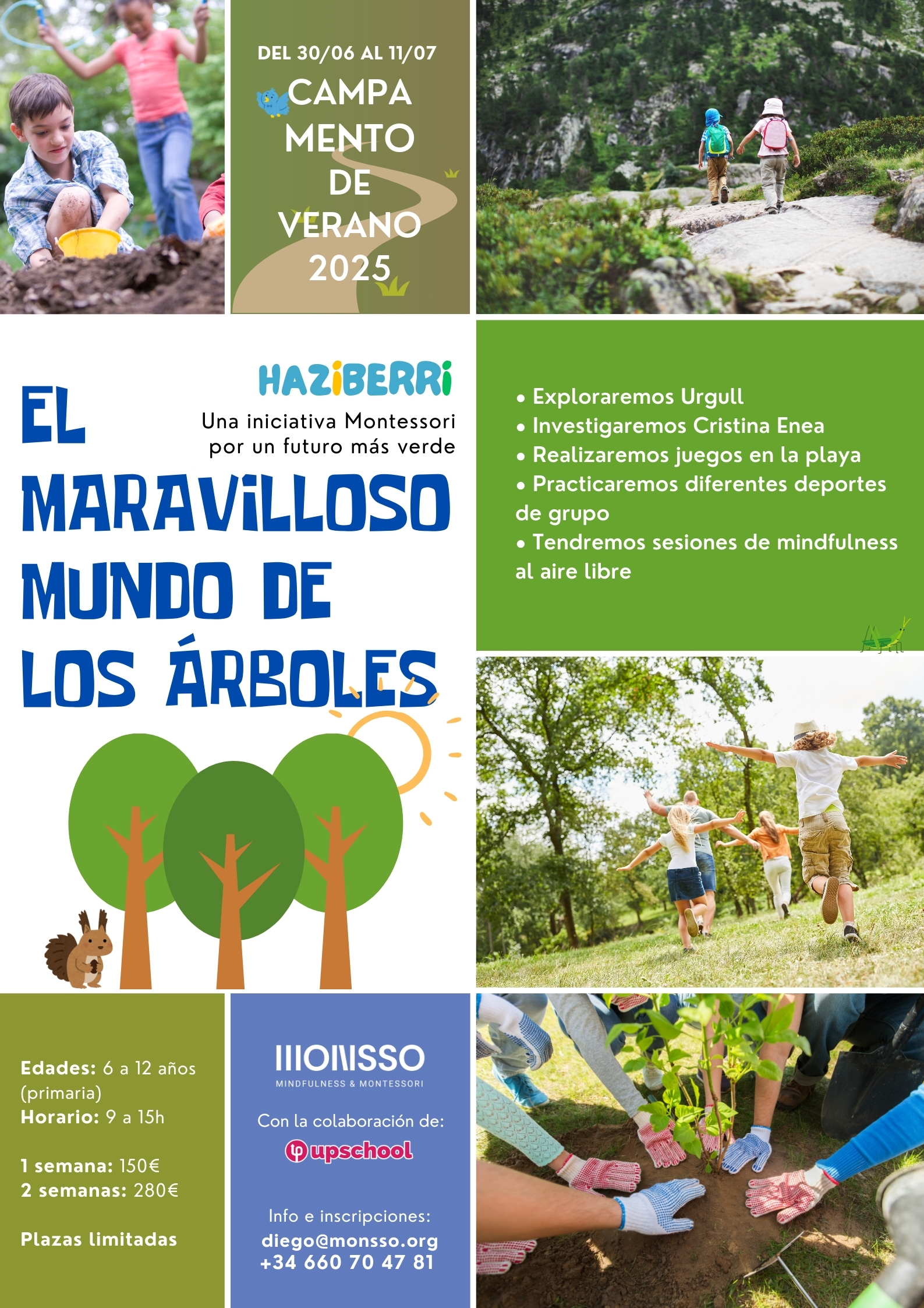 Campamento de Verano 2025, El Maravilloso mundo de los árboles, Monsso Mindfulness