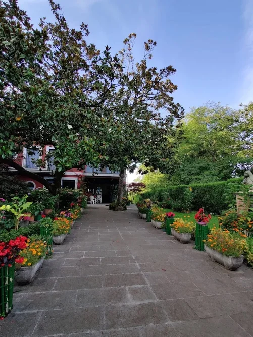 Camino y vegetación a la entrada de Villa Puio